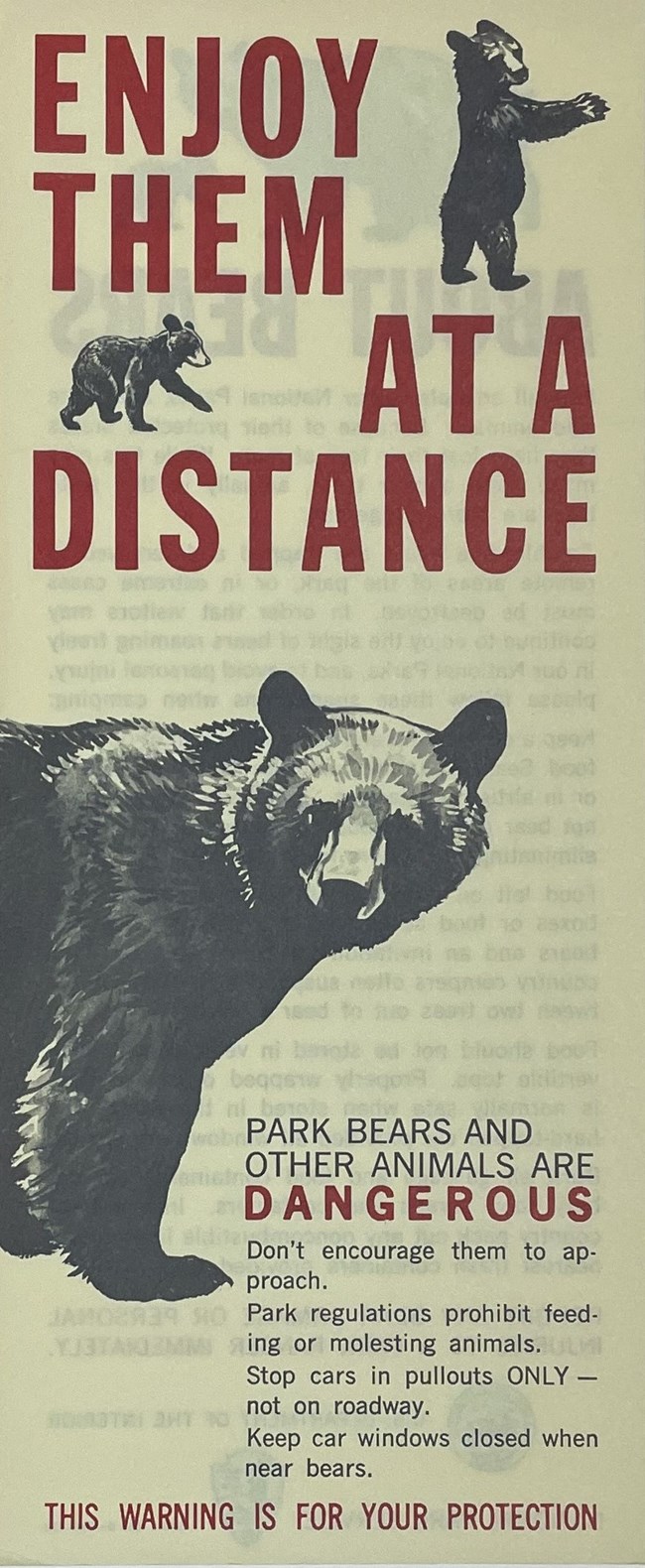 Enjoy them at a distance pamphlet Yellow "Enjoy THem at a Distance" pamphlet with picture of a bear