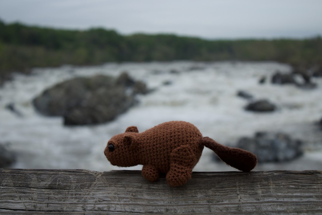 A crocheted beaver sitting on a grey wooden fence, in front of a waterfall on a cloudy day.