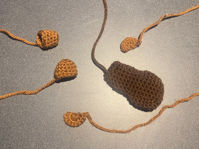 Different crocheted beaver sections. A collection of dark and light brown crocheted objects.