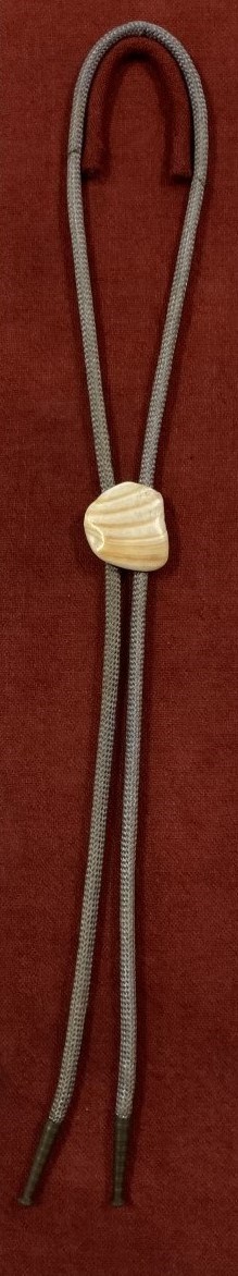 Bolo tie with a seashell decorative element