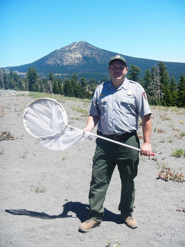 Park service employee stands in the field, holding a butterfly net.