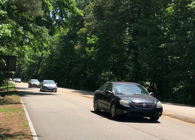 Several cars along a tree lined road