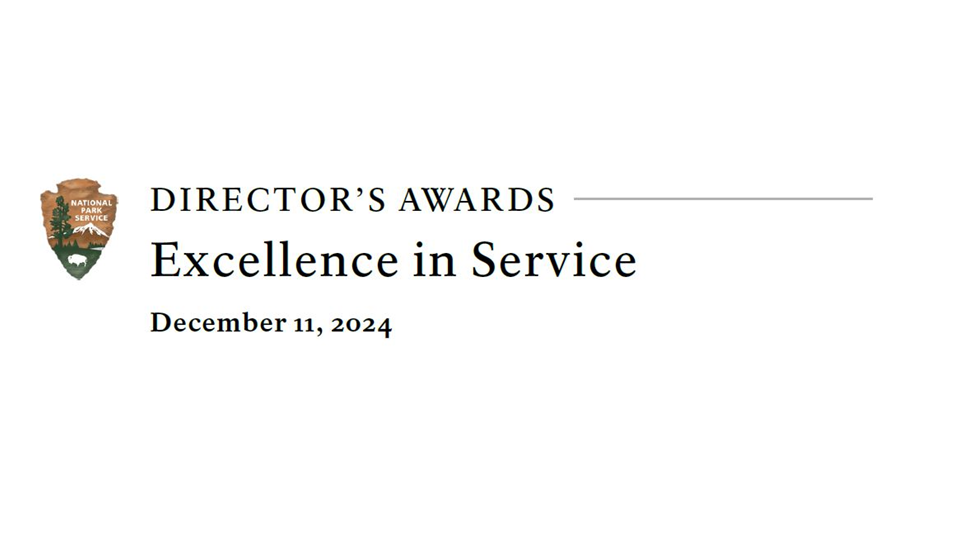 Director's Awards Excellence in Service Image that says "Director's Awards Excellence in Service".