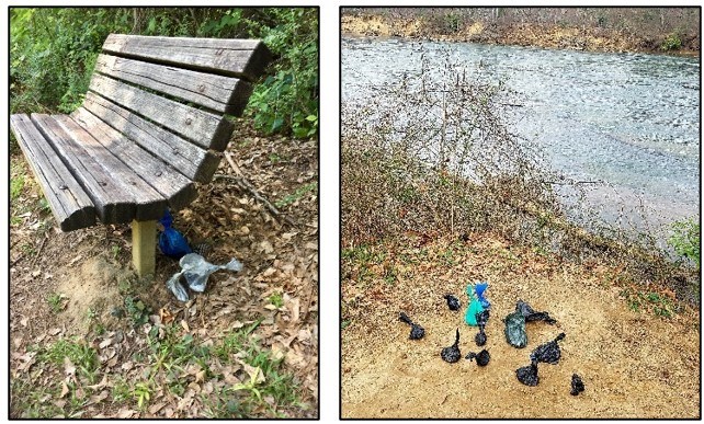 Left: An empty wooden park bench with a few blue and gray plastic bags containing dog waste on the ground underneath. Right: An area of bare ground, with about a dozen used, plastic waste bags next to the river.