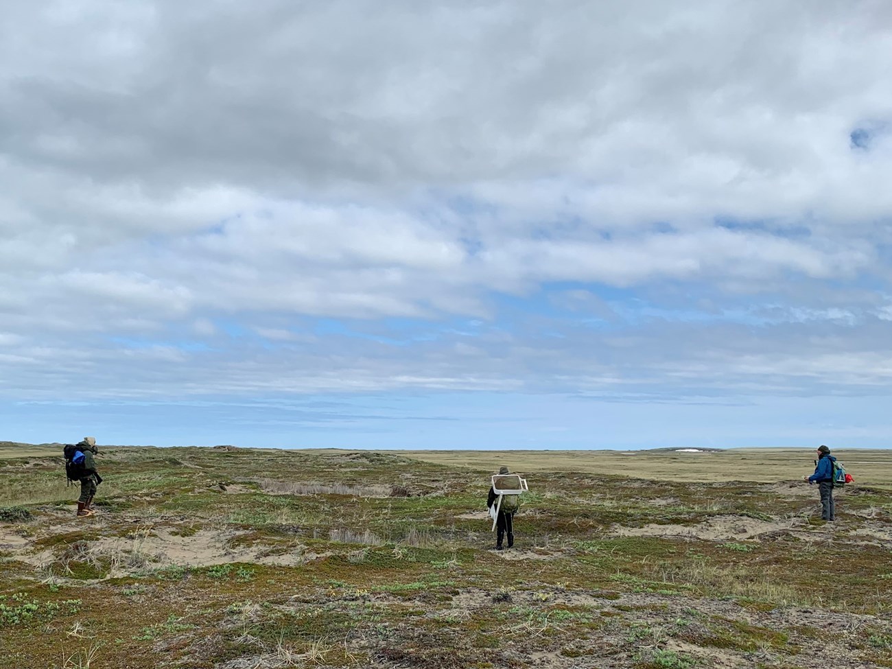 Three people carry backpacks and archeology equipment and walk across a wide, grassy beach ridge.