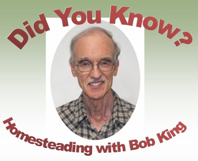 Portrait of Bob King with text that reads "did you know?"