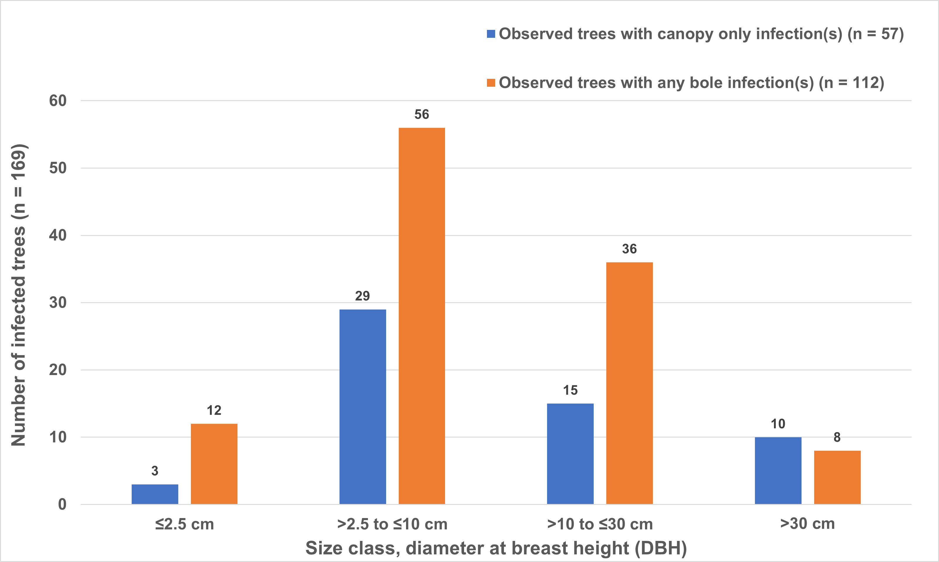 Blister rust infection location by size class. Bar chart showing that most infected trees are in the 2.5 to 10 cm dbh class.