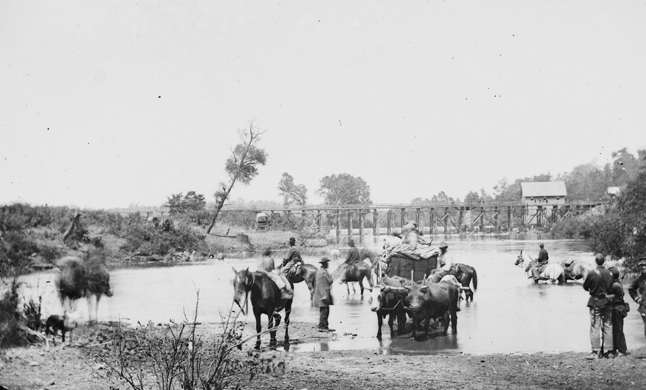 A historical photograph of Black Americans crossing a low river.