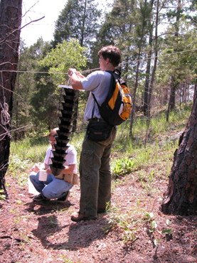 A student in the forest ties a Lindegren funnel trap to a rope between two trees.