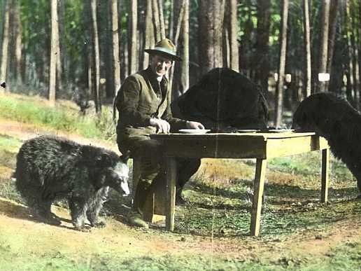 Pancake breakfast A man at a table eating pancakes with three bears