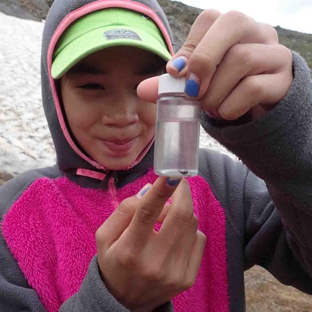 A young girl looks at a water sample in a jar. A young girl looks at a water sample in a jar.