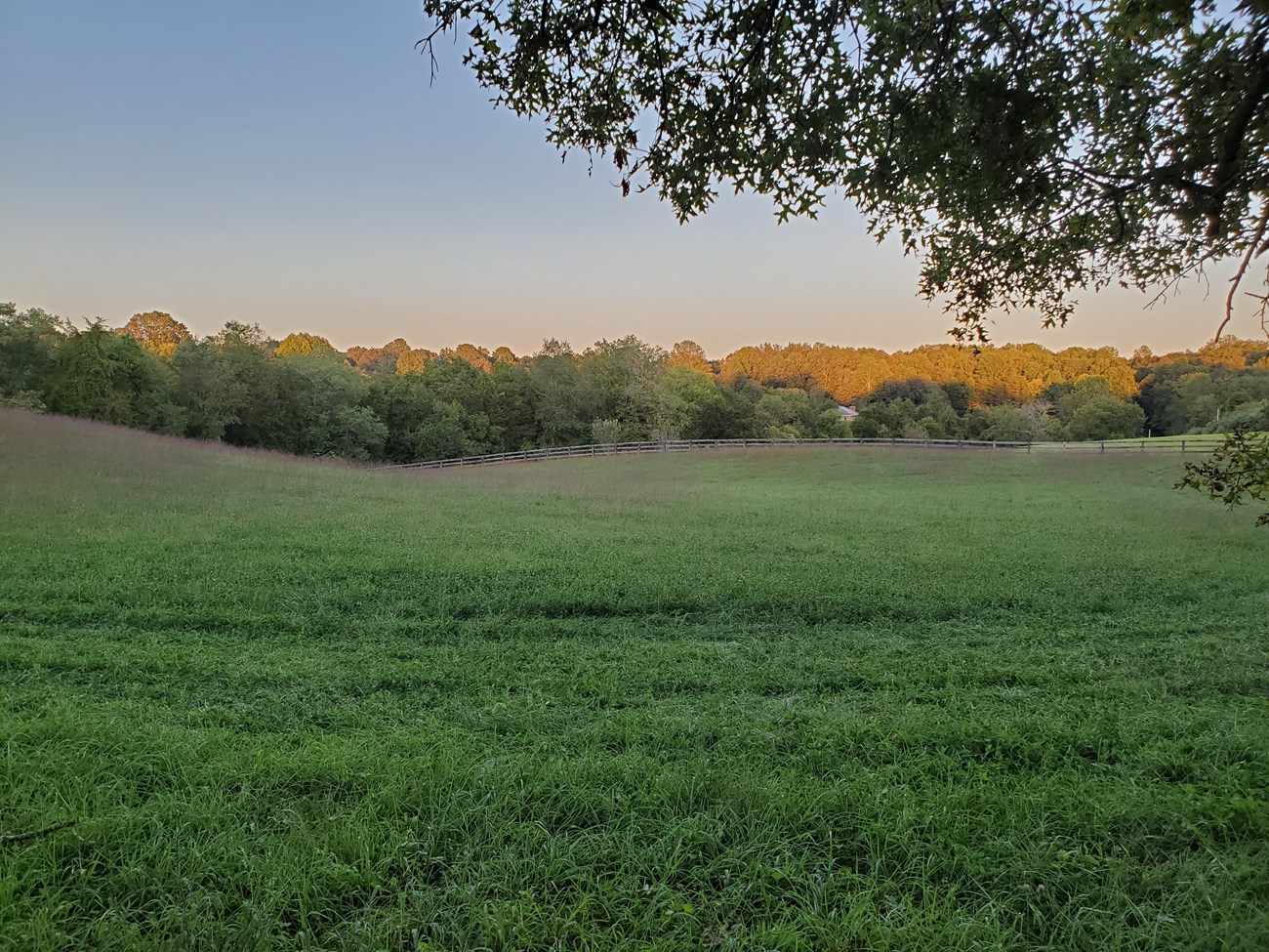 A wide-open landscape features grasslands bordered by a wooden fence on one side and another wooden fence on the adjacent side. Behind the fence lies a forest filled with trees, while a gentle slope extends to the left of the scene.