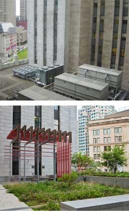 green roof before and after rehabilitation