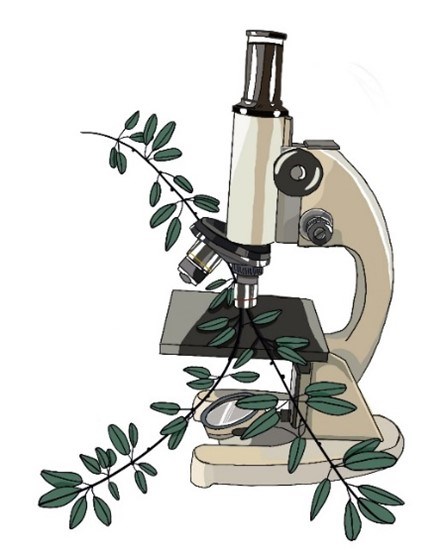 Illustration of a microscope and a plant
