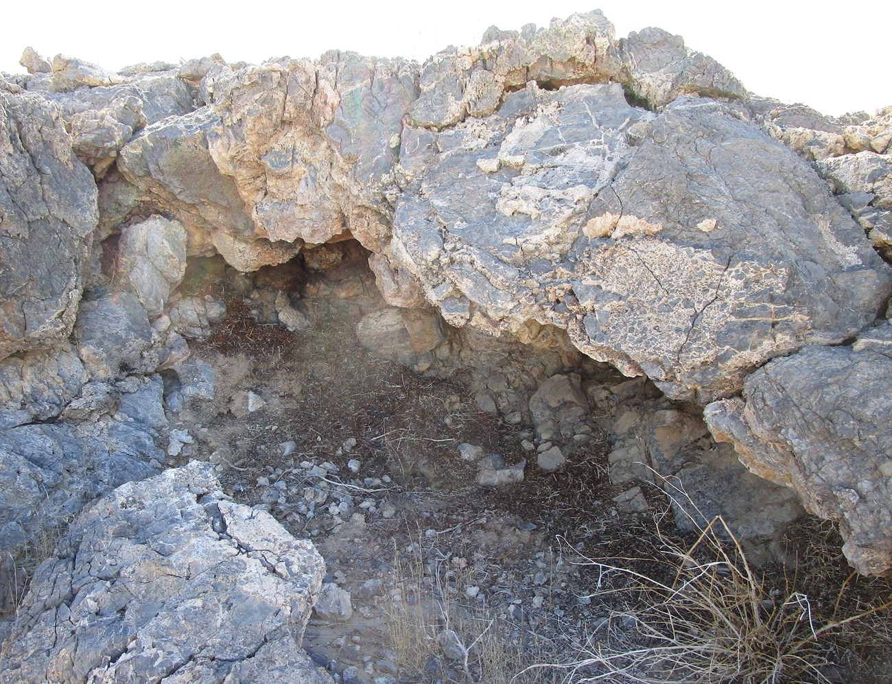 photo of a packrat midden in a low rock ridge