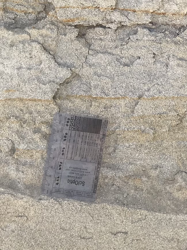 a translucent card to help sort grains in rock, propped on a gray stone