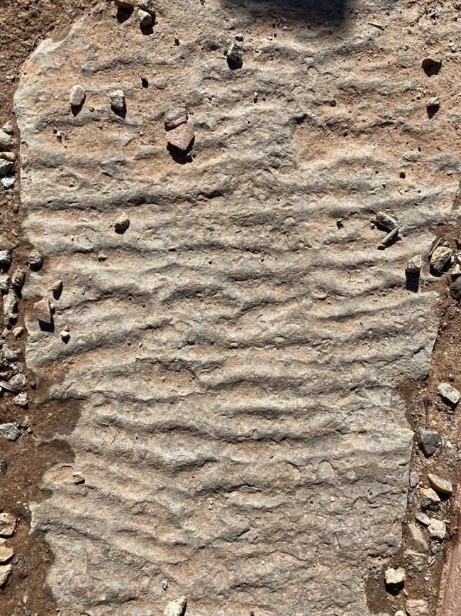 overhead view of a flat stone with raised bumpy lines