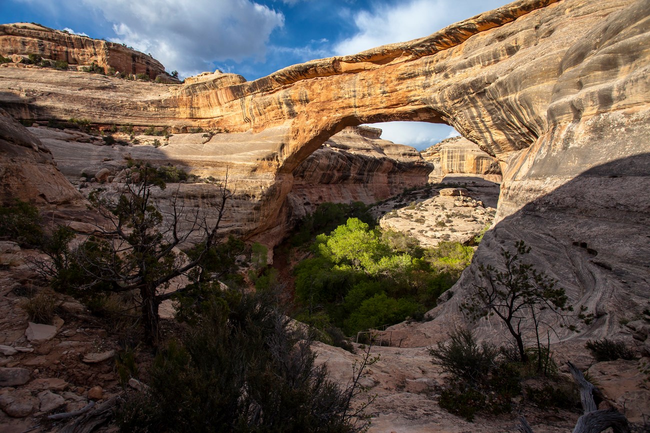 a natural stone bridge towers over a canyon, trees below