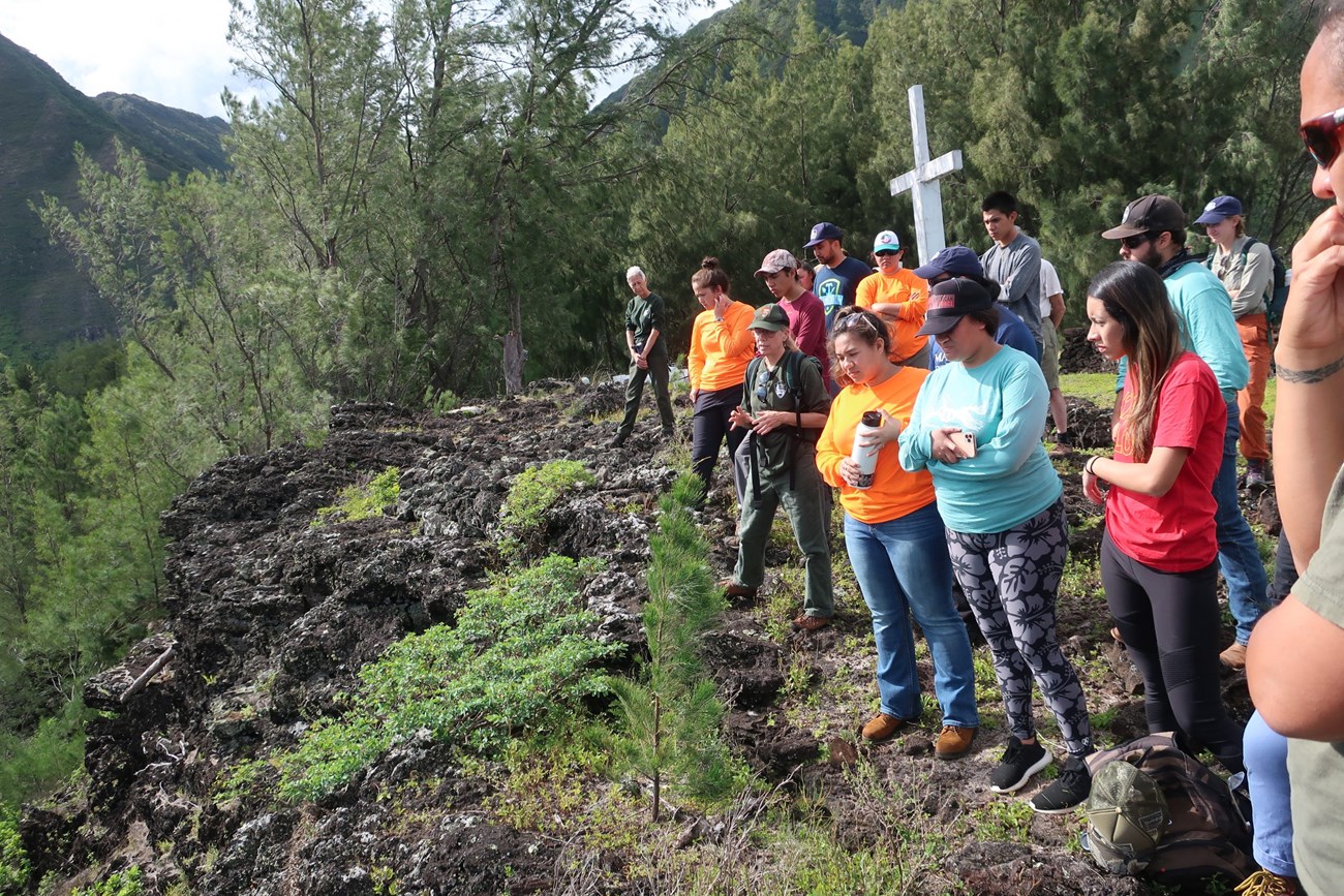 Students get a lecture about invasive plants from an NPS botanist, looking down a steep slope.