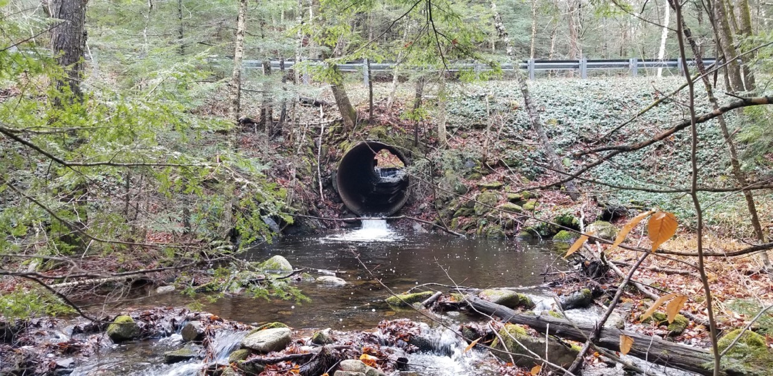 STREAMS AND DRAINAGE