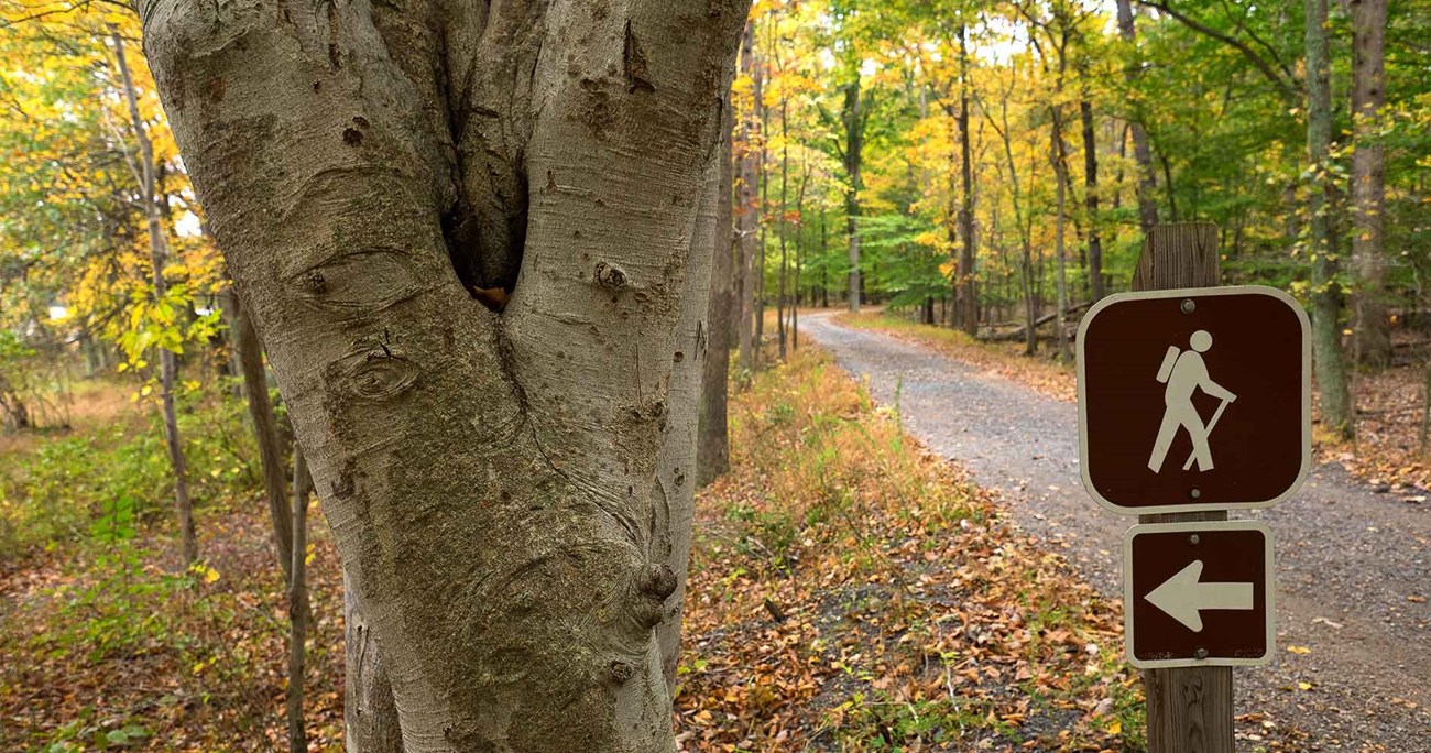 A hiking trail with a sign