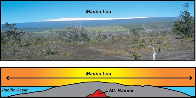 information about shield volcanoes