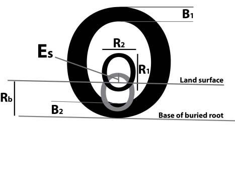 Figure 10. Schematic diagram of a root cross section with the measurements used to calculate the amount of total soil lost. Explained in the text below. Figure 10. Schematic diagram of a root cross section with the measurements used to calculate the amount of total soil lost. Explained in the text below.