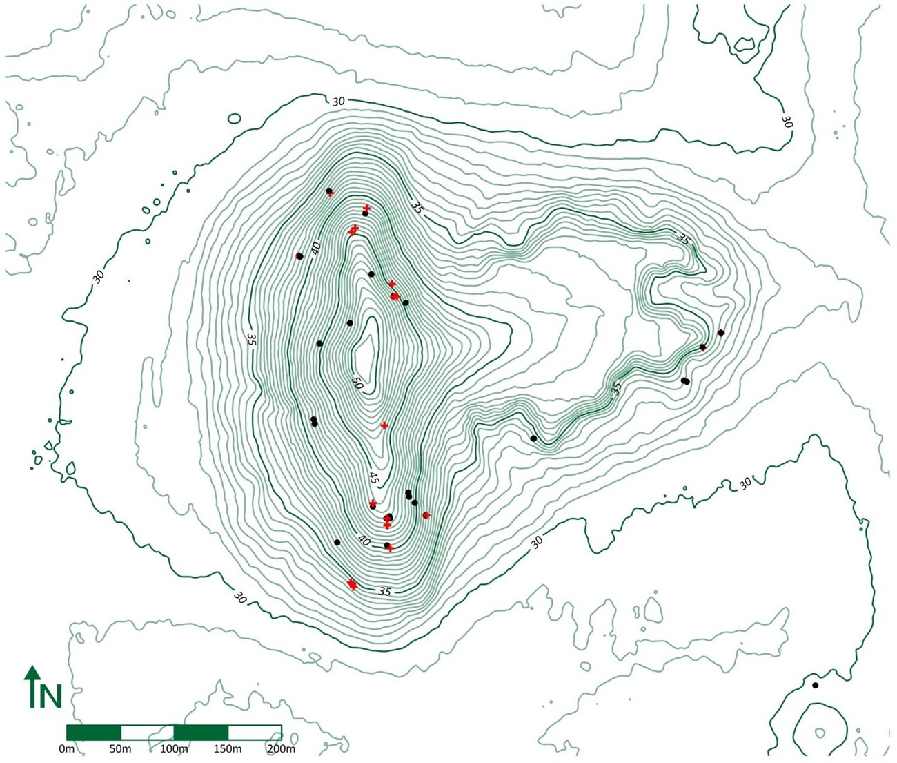 Figure 20. Distribution of exposed roots on Mound A, classed by soil gain (+) and soil loss (•). A scale topographical relief map of Mound A which shows locations of exposed roots classed by soil gain (+, red plus sign) and soil loss (*, black asterisk).