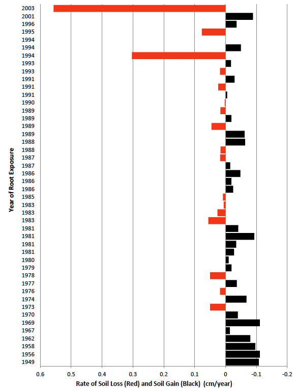 From 1949 to 2003, the rate of soil gain is under 0.1 cm, with peaks at 0.1 cm generally declining in the 1970s, 80s, picking up in 1981 and 2001. Soil loss in red is under 0.1 cm until 1994, at 0.3cm, and 2003 at over 0.5 cm per year.