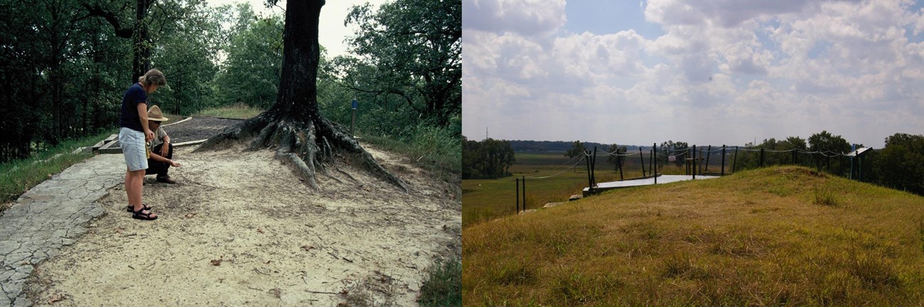 In 1993, a Ranger sits near the Mound apex and another person stand by a mound topped by a tree with exposed roots, showing sheet erosion. 2013, at the apex of the Mound, much of which has eroded away, along with the tree.
