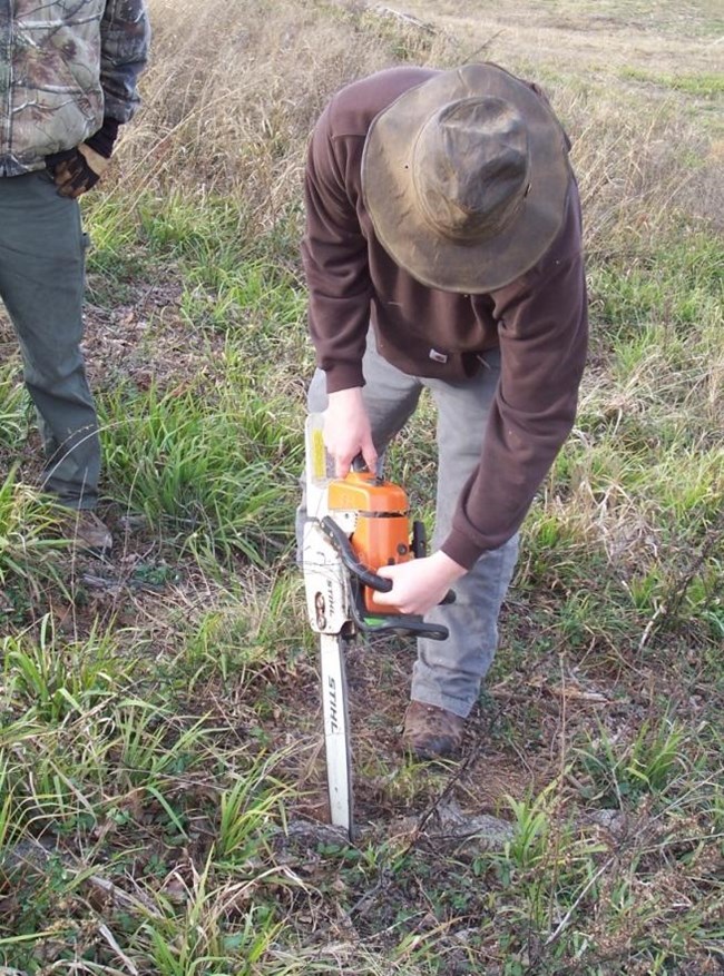 Figure 9. Jessie Edmondson, wearing long sleeves, trousers, gloves, and a hat, cuts into turf using a chainsaw to remove a cross section of an exposed root on Mound A. Figure 9. Jessie Edmondson, wearing long sleeves, trousers, gloves, and a hat, cuts into turf using a chainsaw to remove a cross section of an exposed root on Mound A.