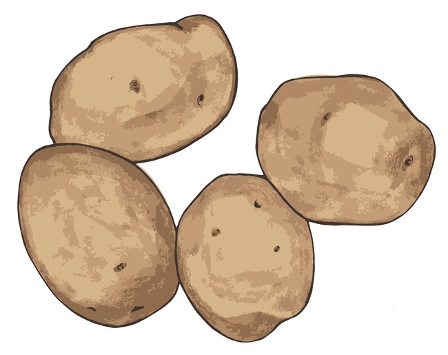A graphic of four grayish-brown potatoes.