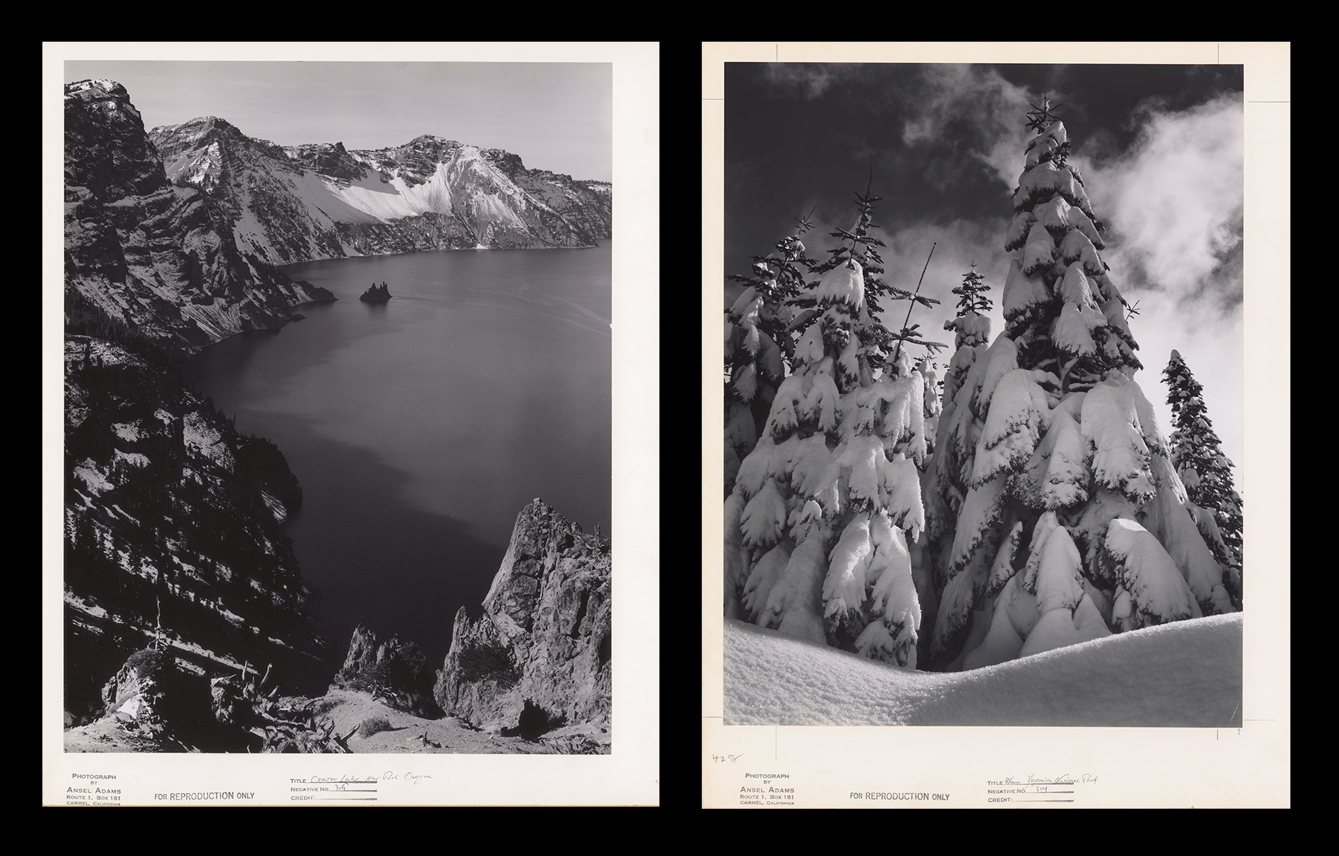 Side by side photos of Crater Lake and snow-covered pine trees.
