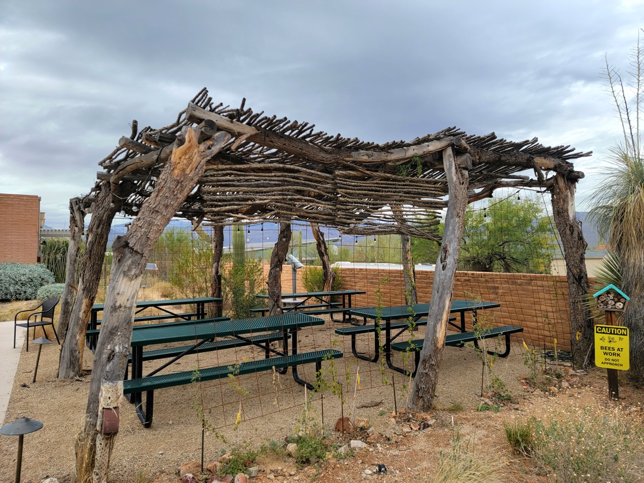 A ramada built of mesquite and tamarisk trunks, roofed with ocotillo branches.