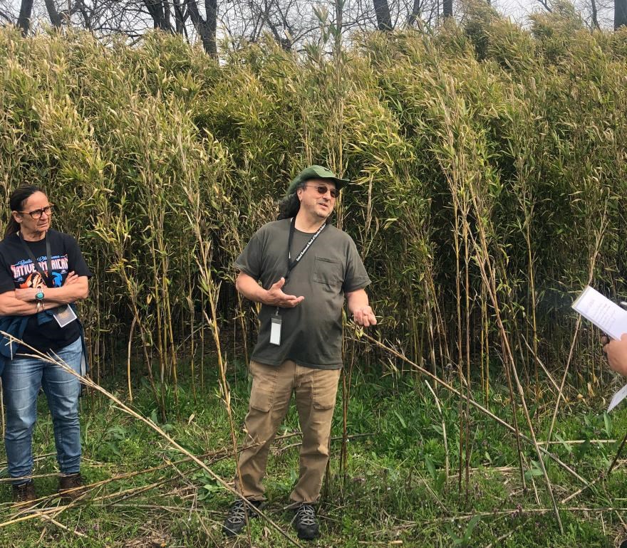 roger-cain-in-front-of-canebrake_USFS One person stands on the left and another stands in the center against a dense thicket of bamboo.