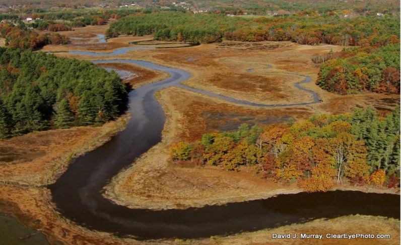 The York River watershed contains the greatest diversity of threatened and endangered species of any Maine region, with species such as the saltmarsh sharp-tailed sparrow. Protection of the area also means protection of diverse fish spawning habitats and