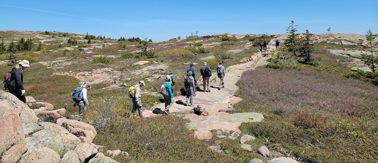 A line of people hike across a granite path surrounded by shrubs.