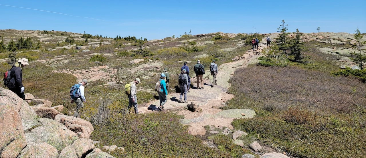 Save our summits. A line of people hike across a granite path surrounded by shrubs.