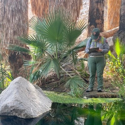 spring monitoring a person standing in front of a spring writing on clip board