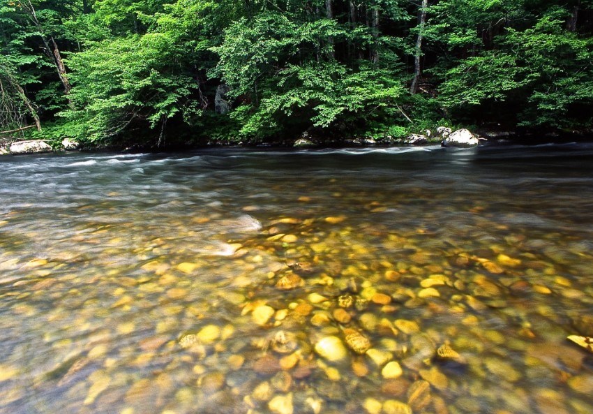 Water rushes over pebbles down the Farmington River. Photo Credit: Tim Palmer. Water rushes over pebbles down the Farmington River. Photo Credit: Tim Palmer.