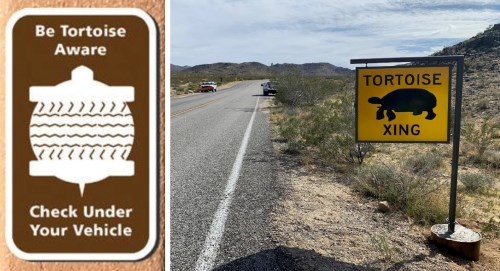 two signs that read, "be tortoise aware, check under vehicle" and "tortoise xing"