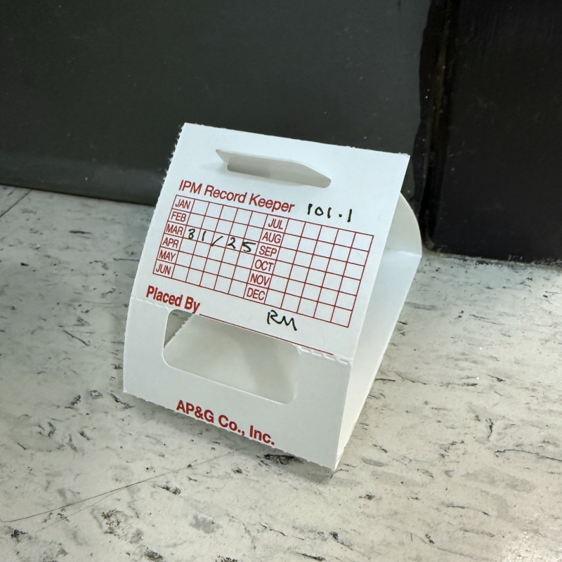 White, triangular insect sticky trap placed along a wall.