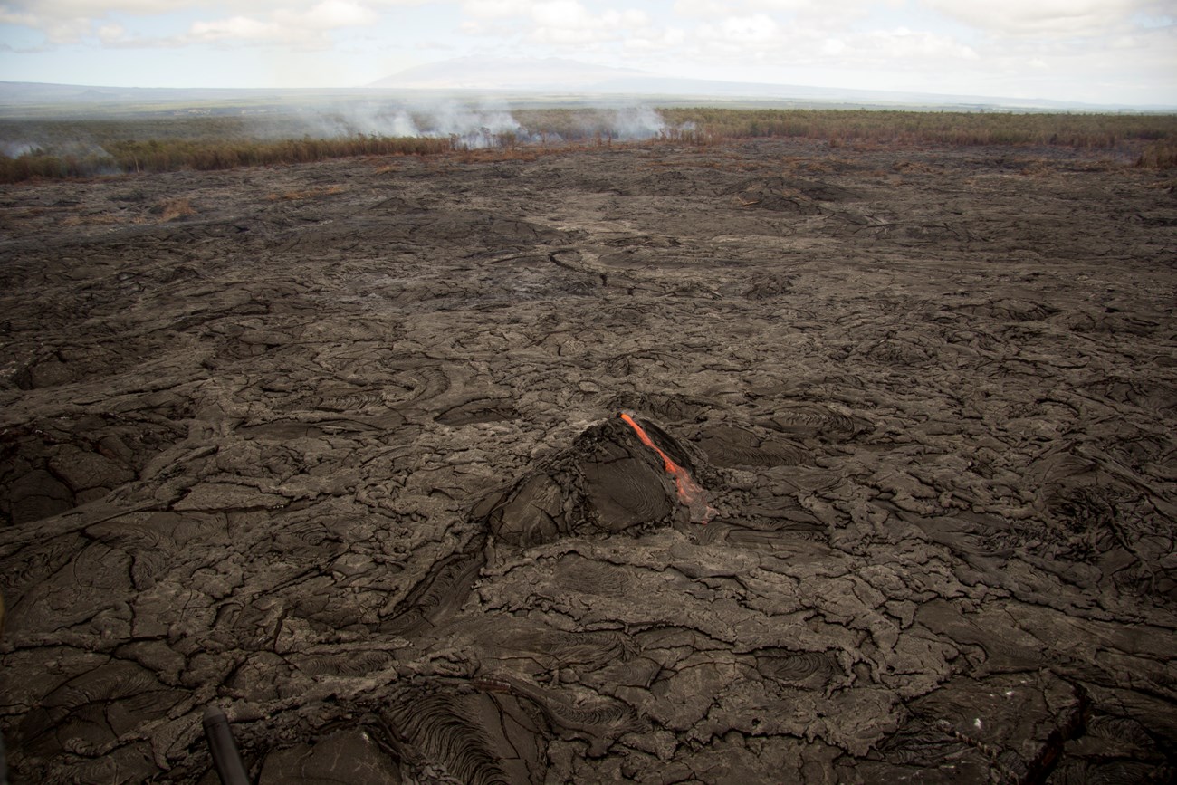 Molten lava escaping out of a tumulus on a lava flow during an eruption