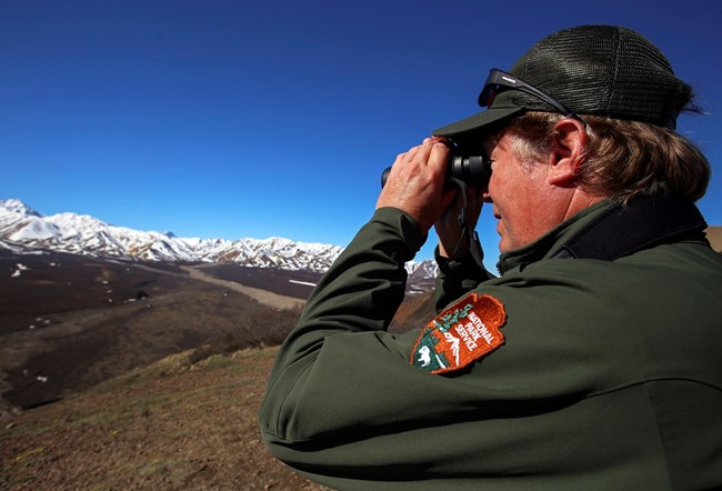 A man in national park service uniform looks through binoculars