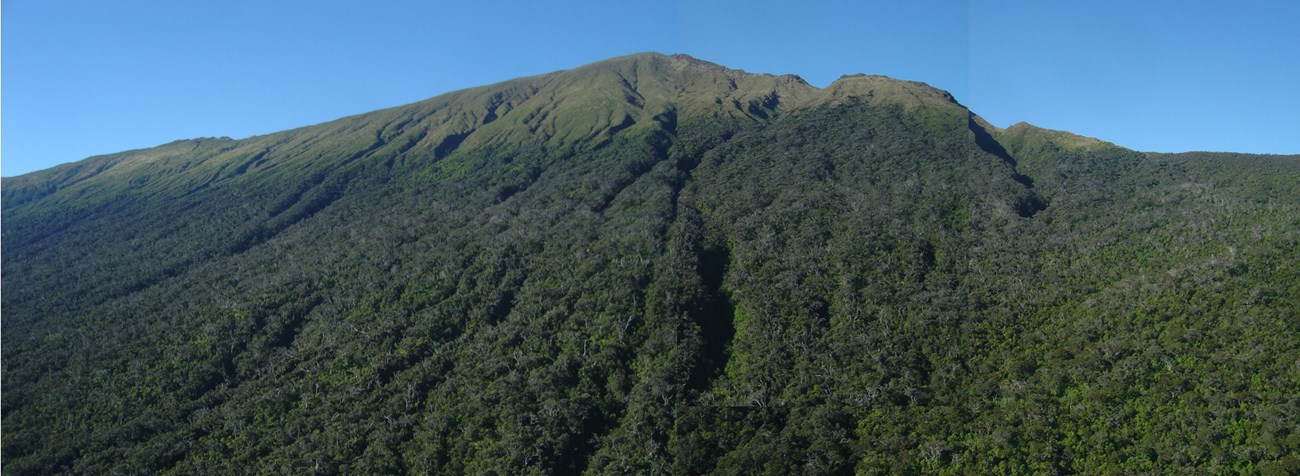 The rugged, forest-covered slopes of Haleakalā Volcano against a clear blue sky.