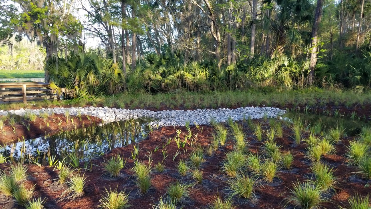 Wilson’s Landing Point, an area along the Wekiva, was restored to prevent stormwater runoff into the river. Photo by Jaime Doubek-Racine.