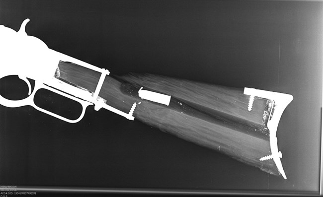 X-ray of Winchester Model 1873 Rifle