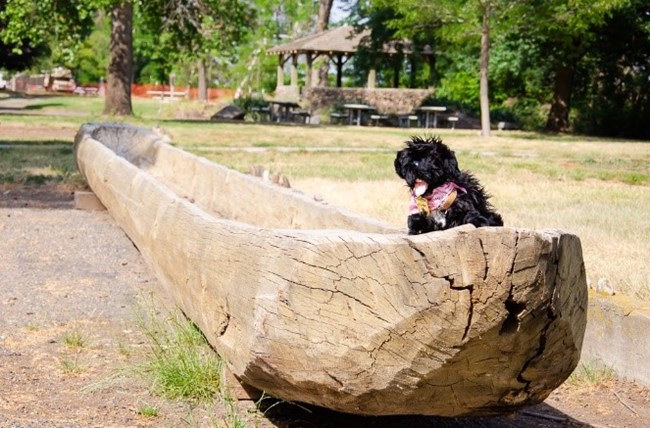 Toy dog on canoe