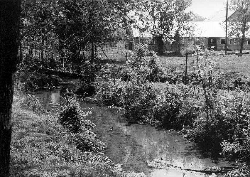 Photo of a small creek.