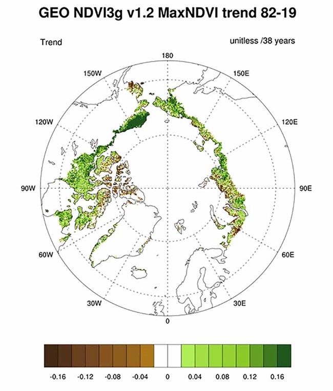 Circumpolar map of trend in NDVI.